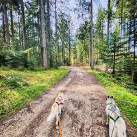 Wanderung Oberwarngau Taubenberg