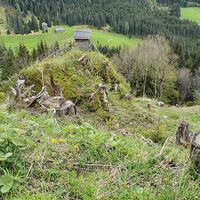20.1 km schwierig erreichbarer Hochstand