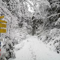 Scheffau_GlasklareBäche_Winterrunde_Talschuster_Wilder Kaiser
