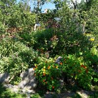 Söll_Dorfrunde_Kräuterspirale_Wilder Kaiser