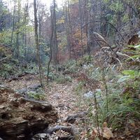 Abstieg durch die Weichtalklamm