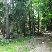 nahe Wenigreith/Almen