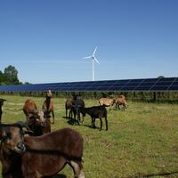 Aurich Rundtour Nordroute Natur und Hightech
