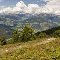 Suedtirol, Vinschgau, von Sulden nach Prad, von der Vellnair- zur Gampen Alm,
