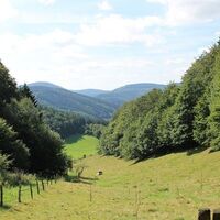 Fernblick
