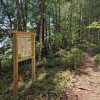 Päihäniemen Naturpfad