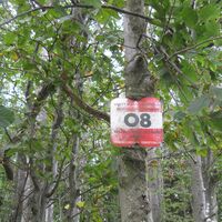 Laimbach a. Ostrong - Ybbs a. d. Donau