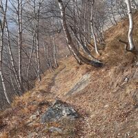 Weg zwischen Alpe Criuliro und Chiaulira