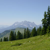 beim Abstieg vom Gerstberg blicken wir nochmals zum Kaisergebirge