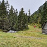 ... in begrasten Naturweg abbiegen