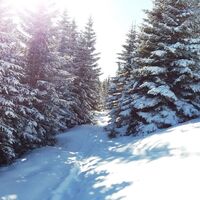 Verschneiter Wanderweg (Nr. 549)