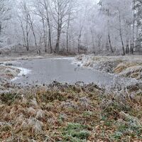 Abstieg Gochelberg mit Teich