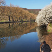 Werra an der Bootsanlegestelle am Wehr Falken