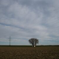 Fels - Absdorf