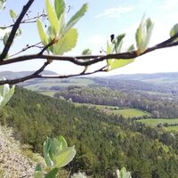 Blick vom kleinen Hörselberg bei Eisenach