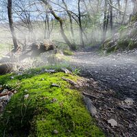 Mystische Landschaft