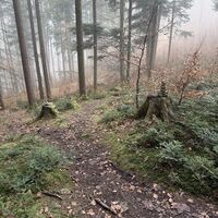 Es ist hier besser, sich auf die Steinmännchen zu verlassen, hier gehts serpentinig runter zu einer Forststraße