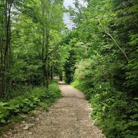 guter aber steiler Weg nach der Kammhöhe