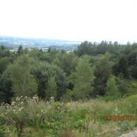 und zum Teutoburger Wald
