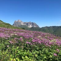 Weg Warth Richtung Bürstegg Blick Widderstein