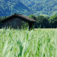 Hütte im Ruggeller Riet