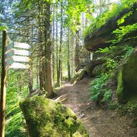 Rodalber Felsenwanderweg bei den hinteren Rappenkopffelsen
