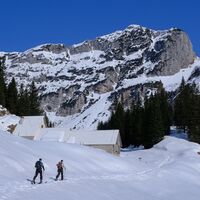 Bei Planina Duplje müssen wir für kurze Zeit erneut die Felle anbringen, um zurück zum Wald zu gelangen.