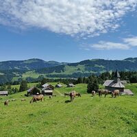 Rehenbergvorsäß
