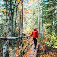 Eine Person auf einer langen Wanderung in einem Herbstwald