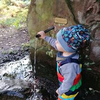 Käfer-Safari/ Hubertusbrunnen