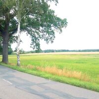 Baumgesäumte Landstraße zwischen Kakau und Soltendieck