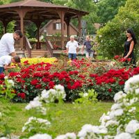 Rosarium St. Stefan im Rosental