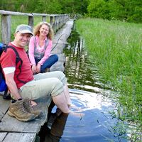 Bartelsdorfer Kirchsteg bei Hochwasser der Veerse