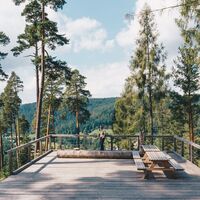 Heidelbeerplattform am Heidelbeerweg