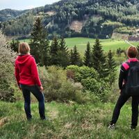 Der Weg gibt immer wieder Ausblicke frei