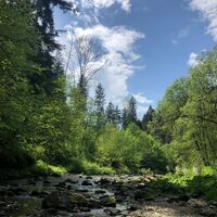 Papst-Franziskus Pilgerweg, Oststeiermark