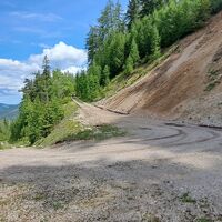 der lange Aufstieg über die Forststaße
