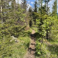 Pfannstein-Trail - Micheldorf