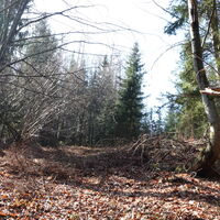 Aufstieg auf den Schacherbauerkogel