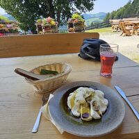 Schafkäse mit Kernöl und Zwiebelringen
