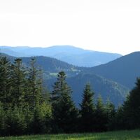 Blick vom Zollhaus bei Aichhalden