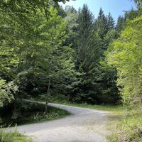 Bei dieser Abzweigung (wie gesagt hier alles unmarkiert) links owe und ned links auffe