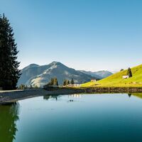 Filzalmsee