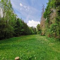 Wiese vor Tiefengruben