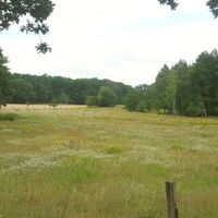 Weite Wiesenlandschaft bei Müssingen