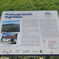 Informationsschild: Wein-Erlebnis_Die Weinbaugeschichte Pfaffstätten