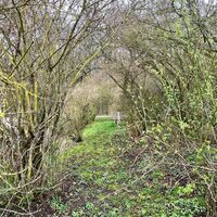 Hammelsbad Wolfmannshausen