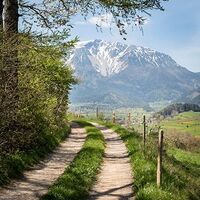 Grünbacher Sattel