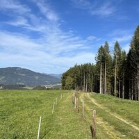 Hier ist sogar ein absolut geschützter Abschnitt! Danke den aufmerksamen Landwirten hier, der Weg ist wirklich vorbildlich markiert und gesichert.