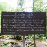 An der Ausleitung des Wuhrs vom Höllbach.
